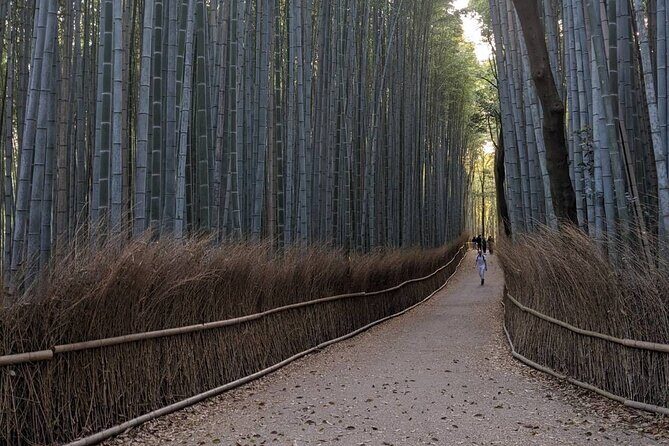 Zen Run in Arashiyama - Good To Know