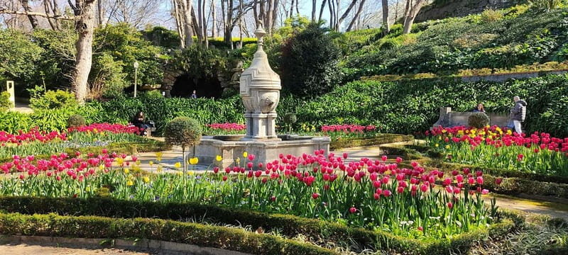 Zen Walking Tour Porto: Find Your Balance 2h - FAQ