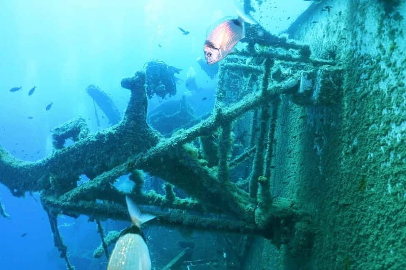 Zenobia Wreck: Private Guided Dive - Is This Tour Worth It?