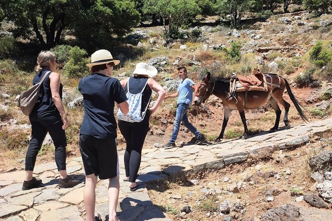Zeus Cave - Lassithi Plateau Day Tour - Common Questions