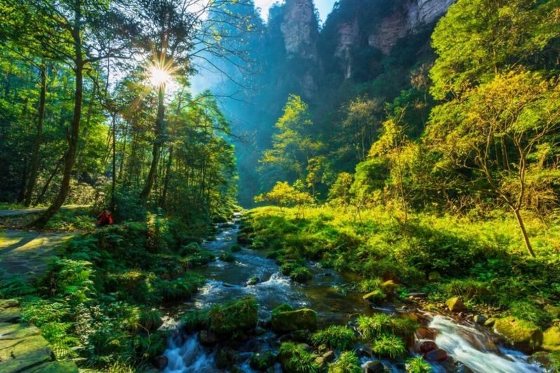Zhangjiajie 3-Day Tour: Huangshizhai + Tianmen Mountain + Bailong Elevator - What the price covers, and what it doesn’t
