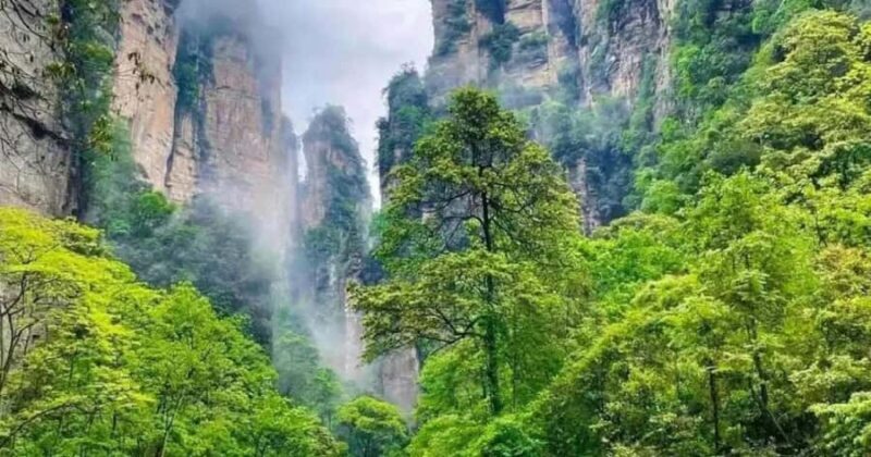 Zhangjiajie 3 Days and 2 Nights Tour - Who Should Book This Tour?