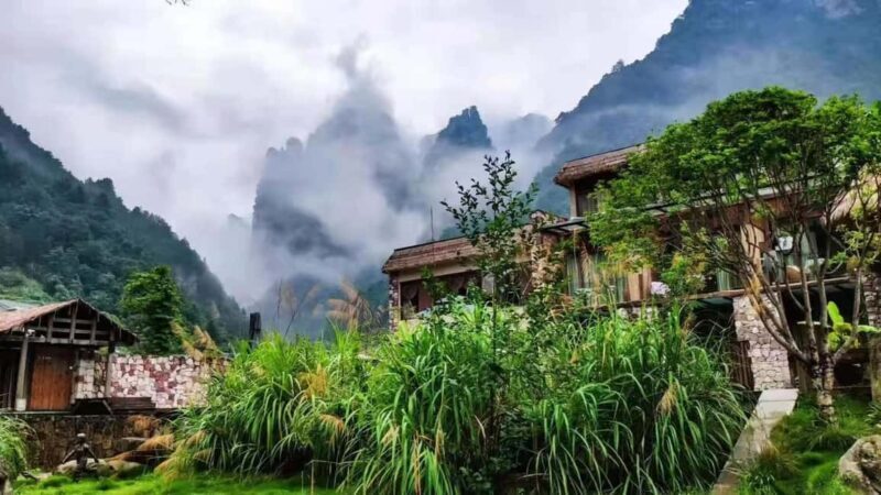 Zhangjiajie: Avatar Canyon Hike & Waterfall Tour - Who Will Love This Tour