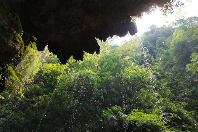 Zhangjiajie Glass Bridge and Grand Canyon Tickets Booking - Authentic Insights from Reviewers