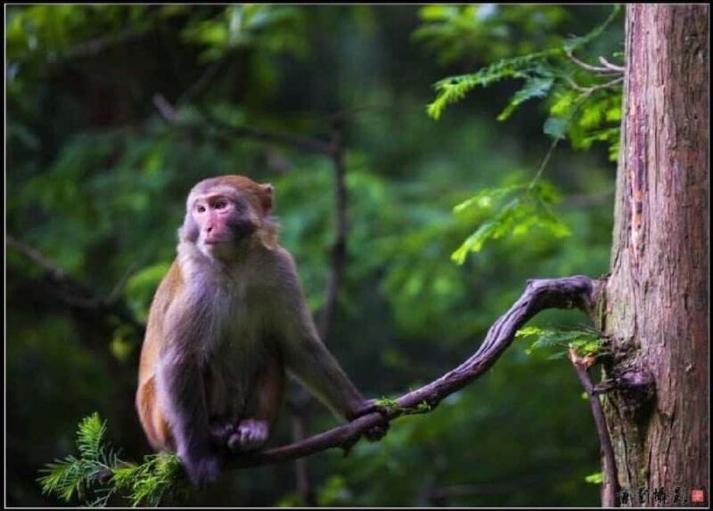 Zhangjiajie: Glass Bridge & Avatar Scenery Day - Final Thoughts: Is This Tour Right for You?