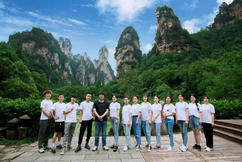 Zhangjiajie: National Forest Park 1-Day VIP Private Tour - Final Thoughts on Value and Suitability