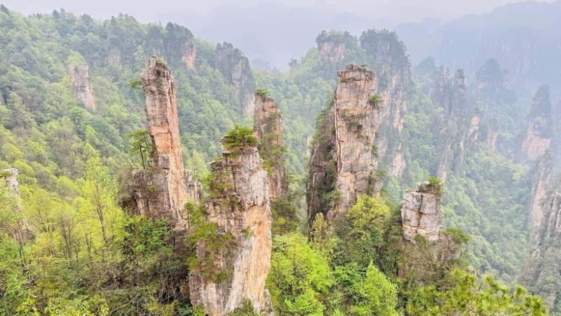 Zhangjiajie: National Forest Park 1-Day VIP Private Tour - Good To Know