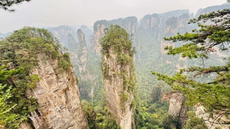 Zhangjiajie: National Forest Park 1-Day VIP Private Tour - An In-Depth Look at the Tour Experience