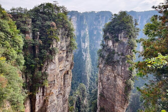 Zhangjiajie National Forest Park Admission Ticket - Good To Know