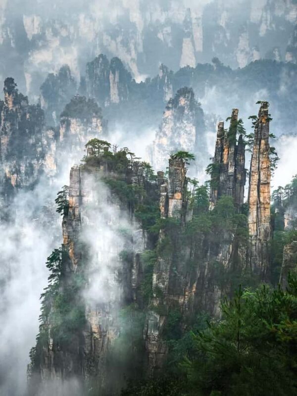 Zhangjiajie: National Forest Park & DaYong Night Market Tour - Good To Know