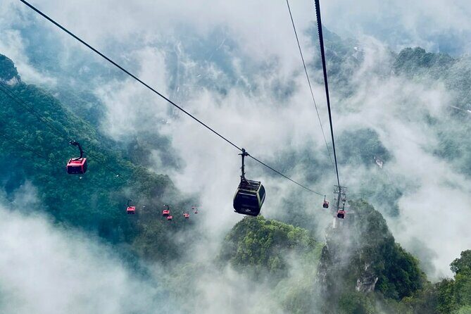 Zhangjiajie National Forest Park One-Day Tour - Whats Included and Whats Not