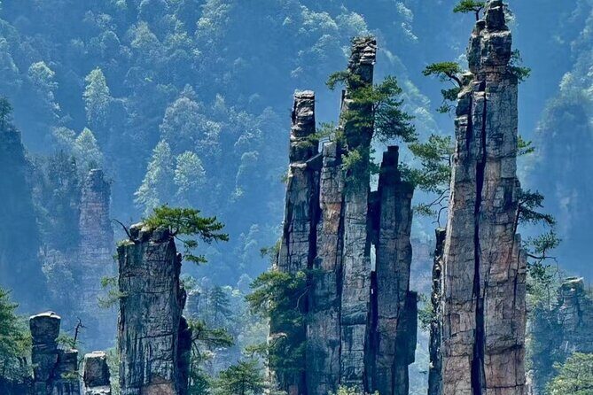 Zhangjiajie National Forest Park One-Day Tour - Final Thoughts