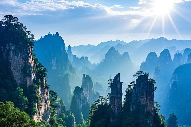Zhangjiajie National Forest Park One-Day Tour - Good To Know