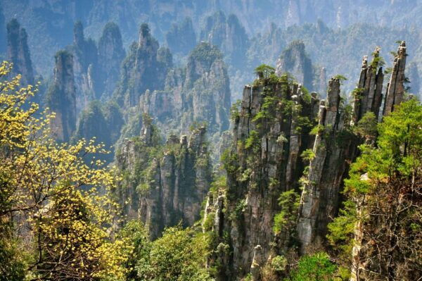 Zhangjiajie National Forest Park: Private Day Tour - Note on Content Organization