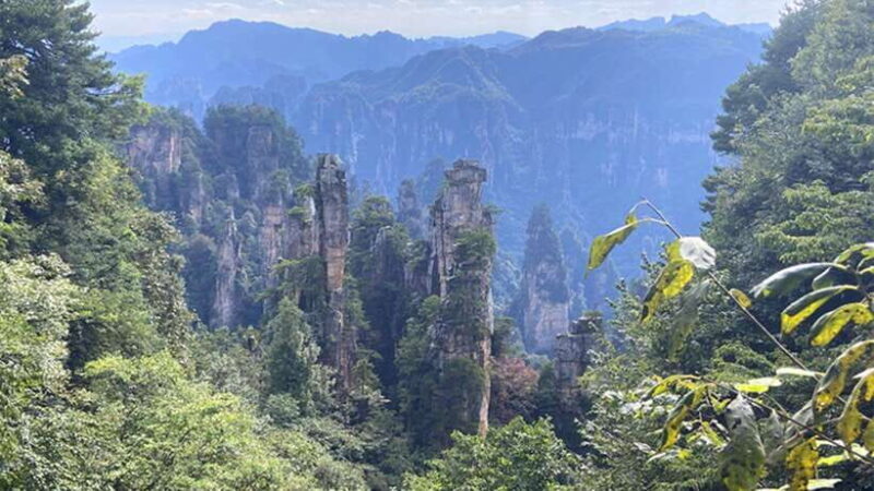 Zhangjiajie National Forest Park: Private Tour and Transport - The Descent and Free Time
