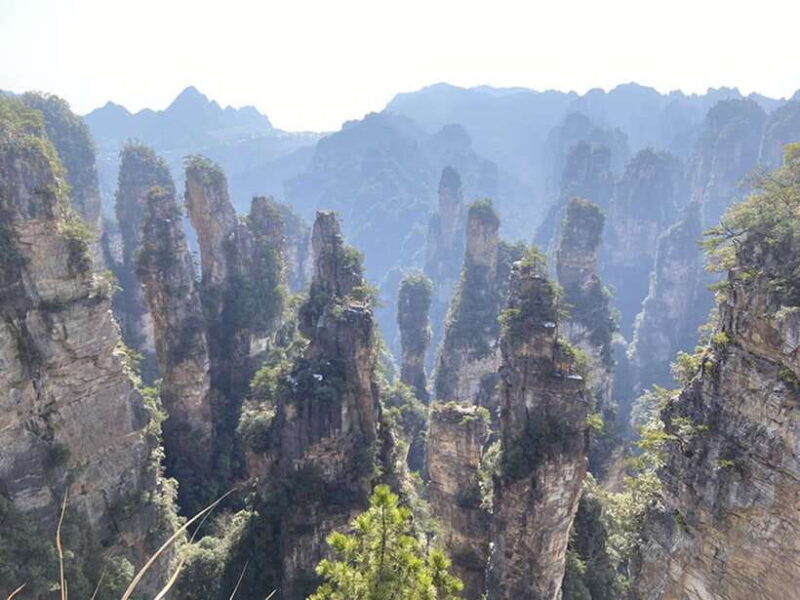 Zhangjiajie National Forest Park: Private Tour and Transport - Guides and Reviews: Why the Experience Shines
