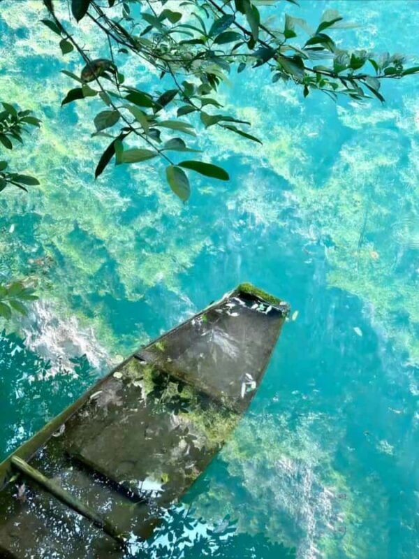 Zhangjiajie: Private Day Tour to Forest Park & Whip Stream - The Natural Marvel: Zhangjiajie National Forest Park