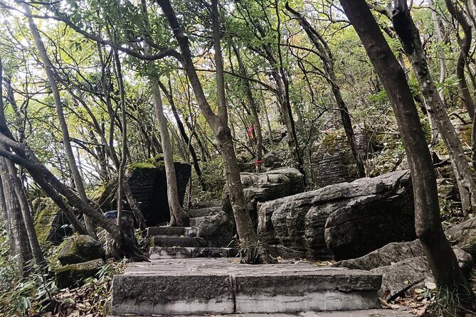 Zhangjiajie Tianmen Mountain and Glass Skywalk Private Tour - The Sum Up