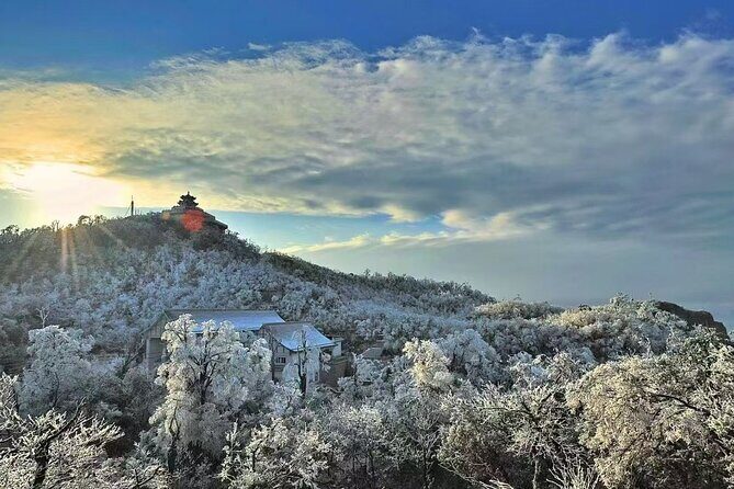 Zhangjiajie to Avatar Mountain and Glass Bridge Private Tour - Who Would Love This Tour?