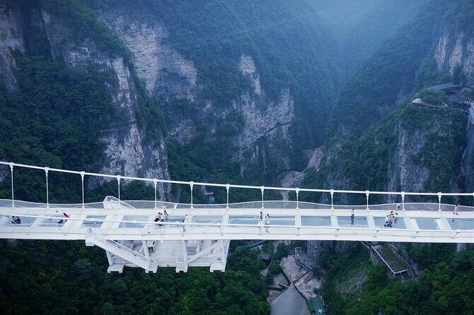 Zhangjiajie to Avatar Mountain and Glass Bridge Private Tour - Final Thoughts