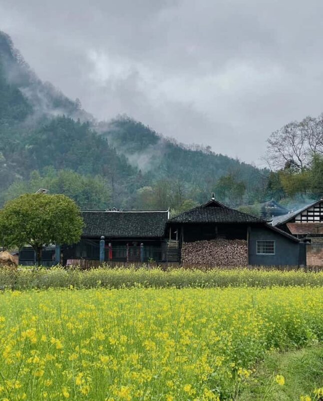 Zhangjiajie: Tujia Village & Sandstone Art Workshop Tour - The Artistic Highlight: Sandstone Art Gallery & Workshop