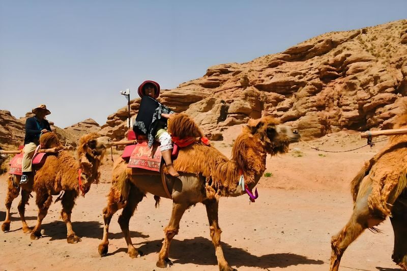 Zhangye Rainbow Danxia + Pingshan Lake Grand Canyon Day Tour (Optional Off-Road Vehicle and Camel Riding) - What the small-group format does well