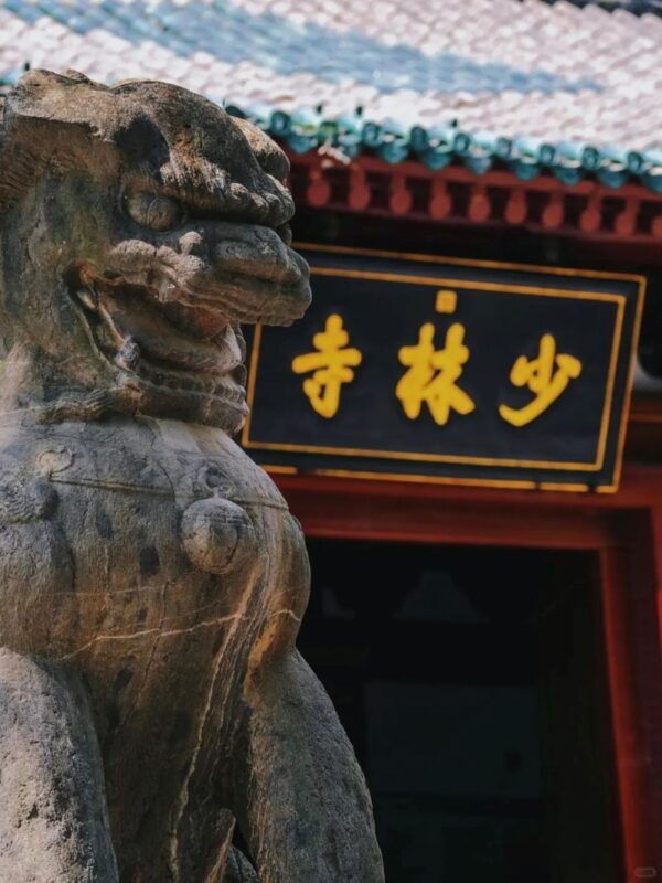 Zhengzhou Full-Day Shaolin Temple & Longmen Grottoes Tour - Longmen Grottoes and their carved stonework
