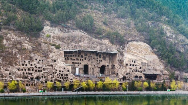 Zhengzhou: Private Tour to Shaolin Temple & Longmen Grottoes - Customer Reviews
