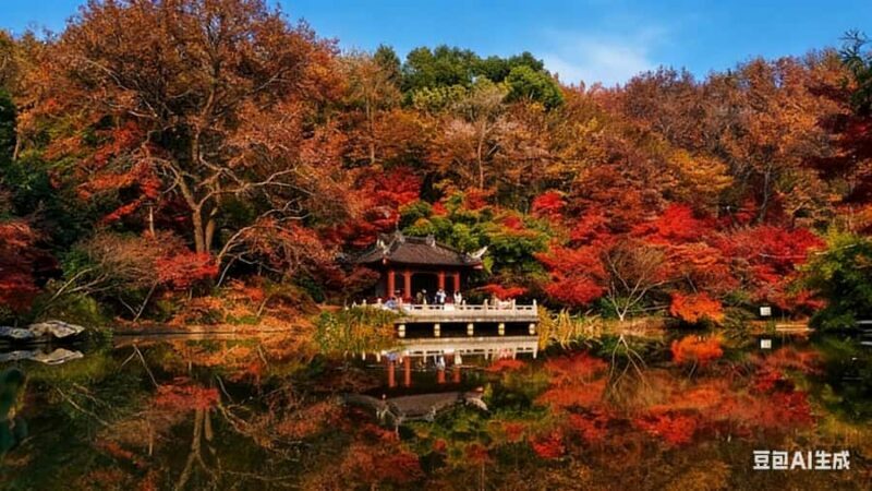 Zhongshan Botanical Garden Entry Ticket - A Walk Through the Garden: What to Expect