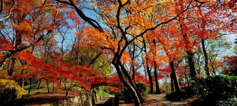 Zhongshan Botanical Garden Entry Ticket - Final Thoughts: Is It Worth It?