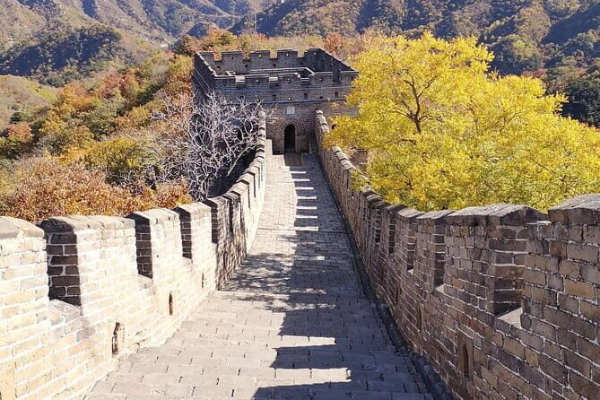 Zhujiajiao & Shanghai: Private Day Tour Water Town to Skyline - The Sum Up