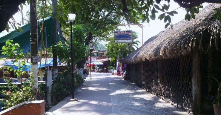 Zihuatanejo: City Sightseeing Tour - Experience Highlights