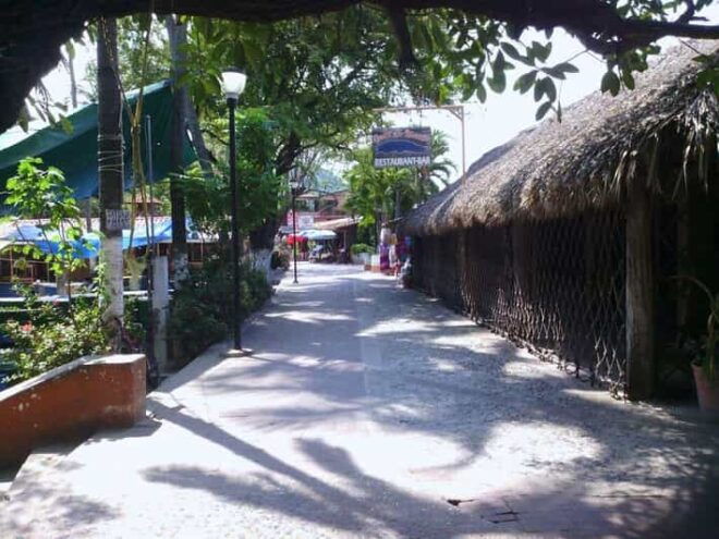 Zihuatanejo: City Sightseeing Tour - Tour Activities