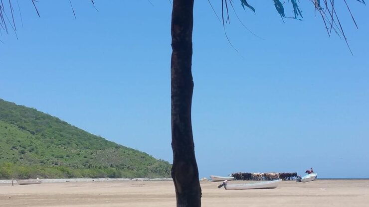 Zihuatanejo: Country Tour to Barra De Potosi - Good To Know