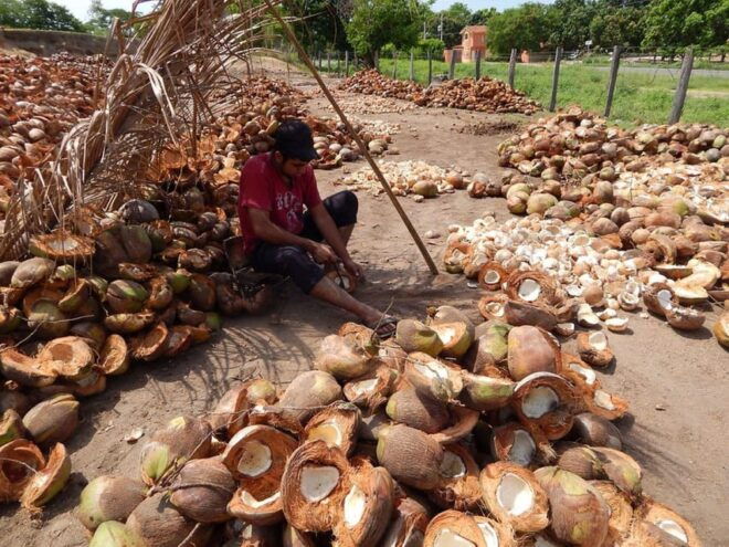Zihuatanejo: Country Tour to Barra De Potosi - Tour Features