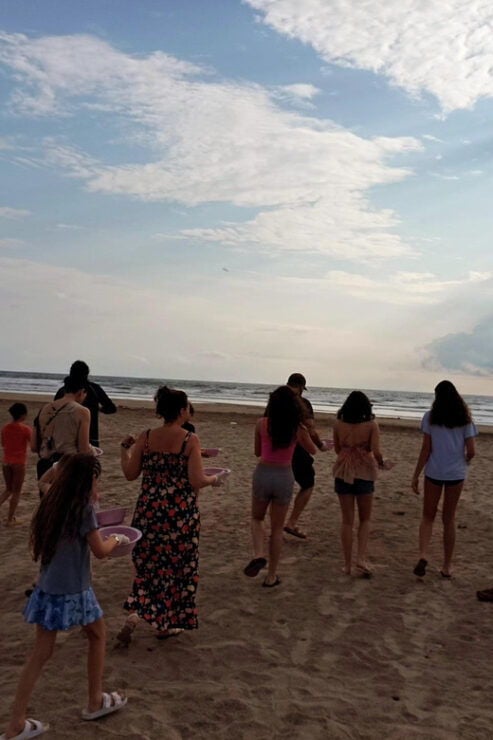 Zihuatanejo, Guerrero: Turtle Release Experience - Good To Know