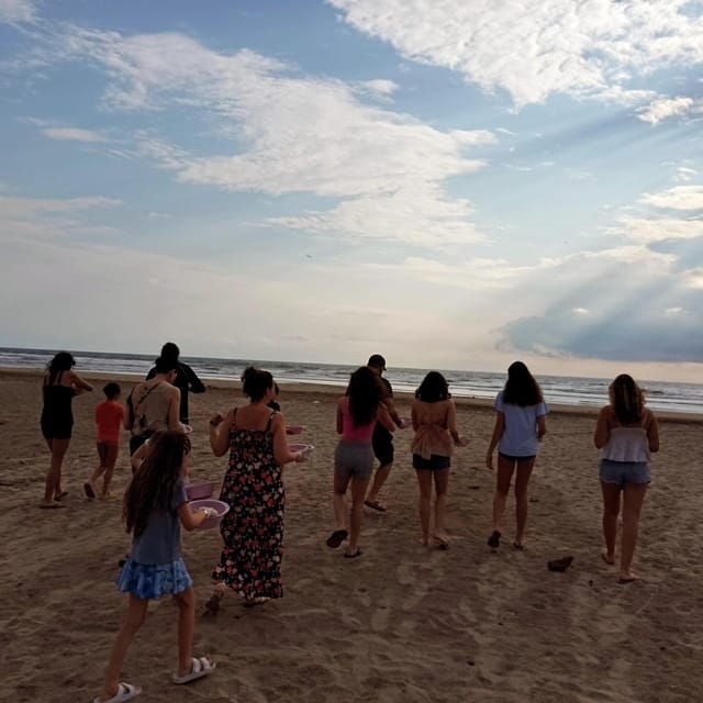 Zihuatanejo, Guerrero: Turtle Release Experience - Logistical Information
