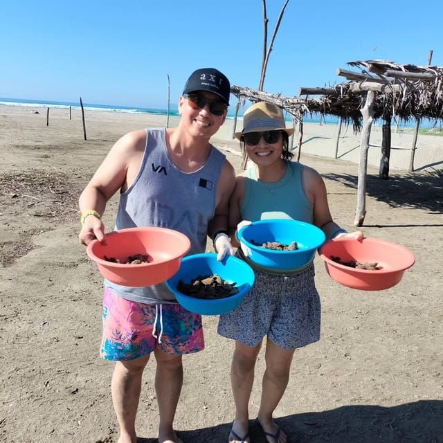 Zihuatanejo, Guerrero: Turtle Release Experience - Turtle Conservation Efforts