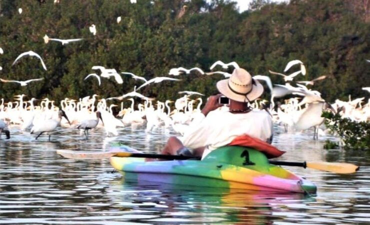 Zihuatanejo: Horseback Riding & Kayaking - Good To Know