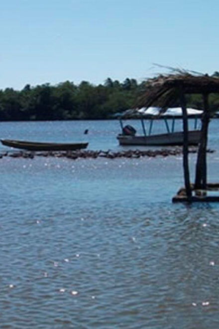 Zihuatanejo Ixtapa: Countryside Tour - Group Size and Language