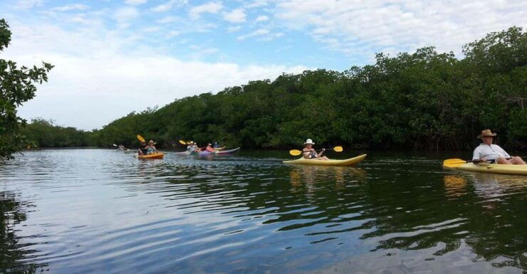 Zihuatanejo: Kayak Tour - Good To Know