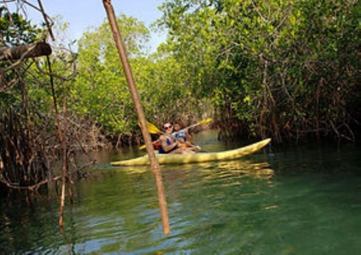 Zihuatanejo: Kayak Tour - Activity and Duration