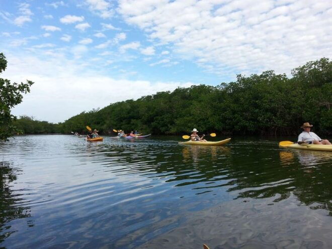 Zihuatanejo: Kayak Tour - Pricing and Languages