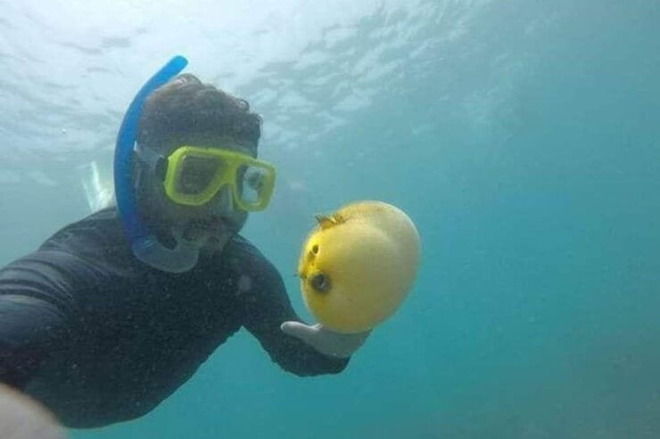 Zihuatanejo: Las Gatas Beach Snorkeling and Kayaking Tour - Good To Know