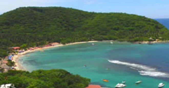 Zihuatanejo: Las Gatas Beach Tour - Delectable Seafood Lunch