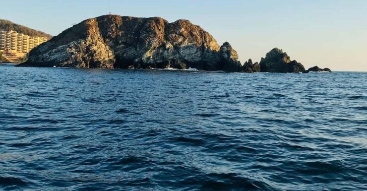 Zihuatanejo: Marine Life Observation Tour - Booking Details