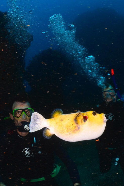 Zihuatanejo: Moonlit Dive at Las Gatas - Good To Know