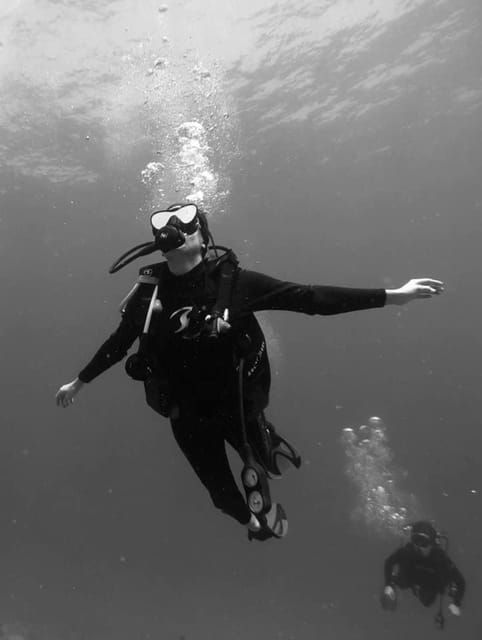 Zihuatanejo: Moonlit Dive at Las Gatas - Nocturnal Marine Encounters