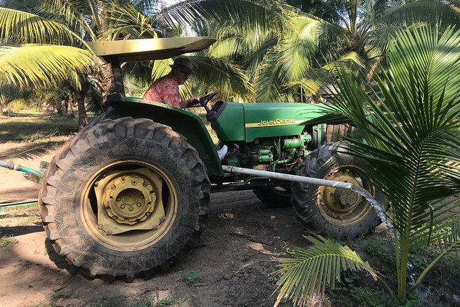 Zihuatanejo Private Countryside Tour With Lunch - Exploring Barra De Potosi Playa Achiotes