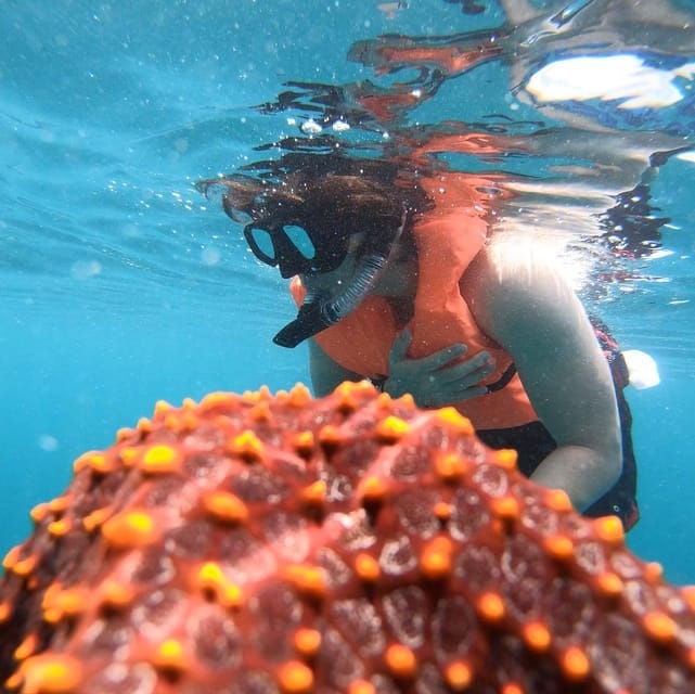 Zihuatanejo: Snorkeling in Manzanillo and Las Gatas - Highlights and Experience